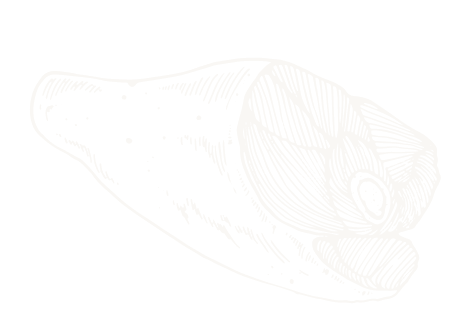 testimonial-shape-1-2 testimonial-shape-1-2